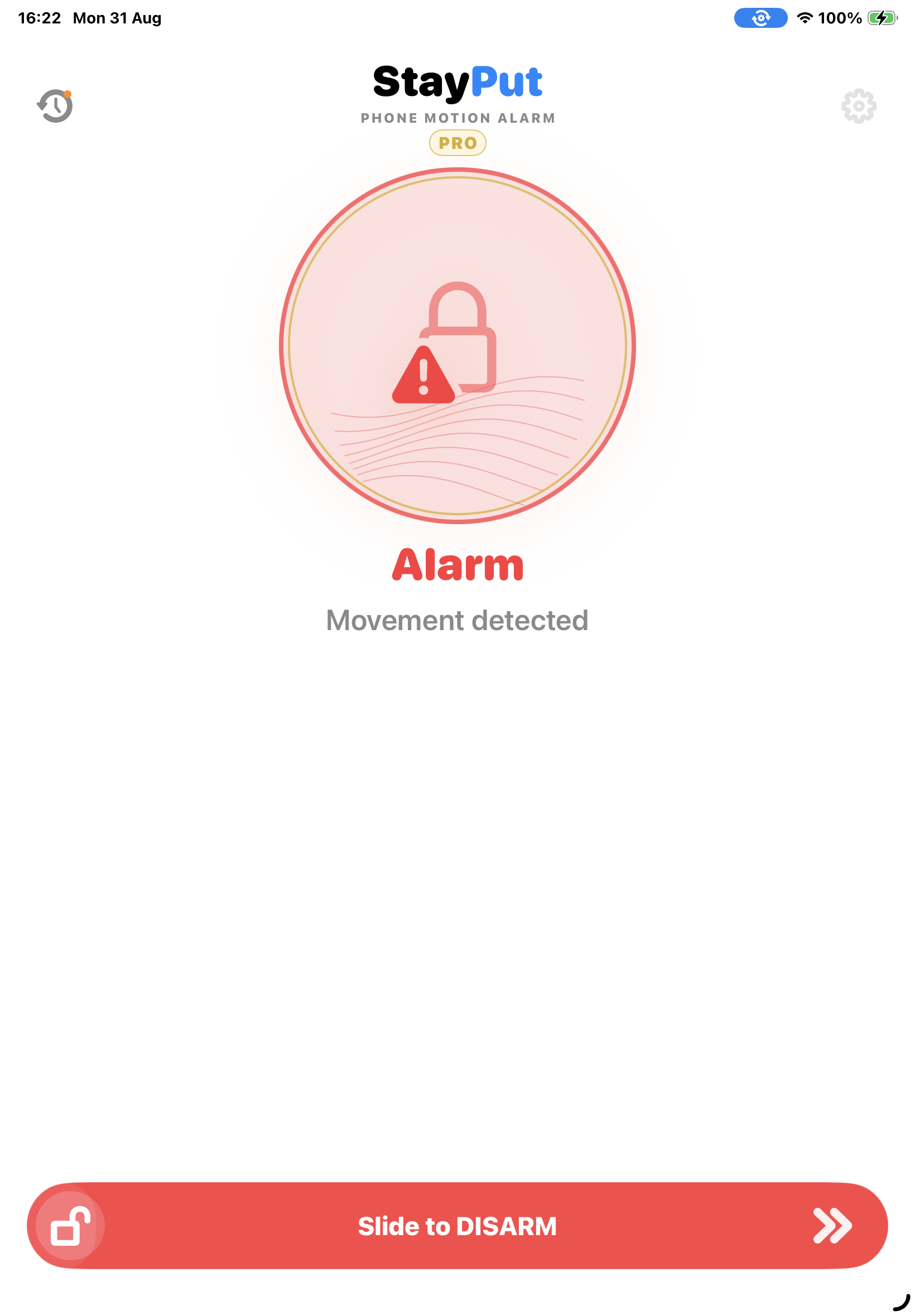 StayPut alarm triggered on an iPad